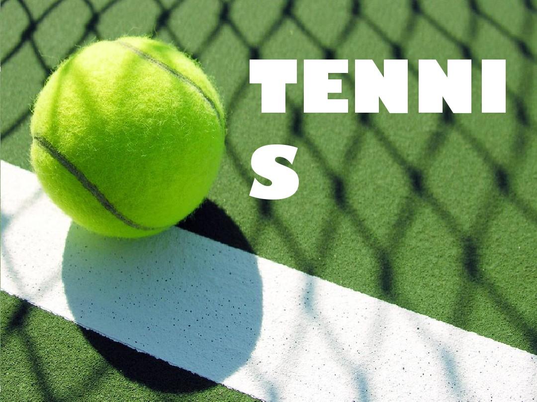 队伍概况与 队伍概况与