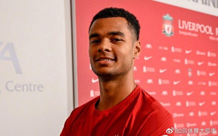 引起球迷广 引起球迷广