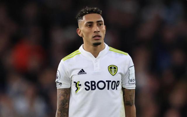 期已经表现 期已经表现