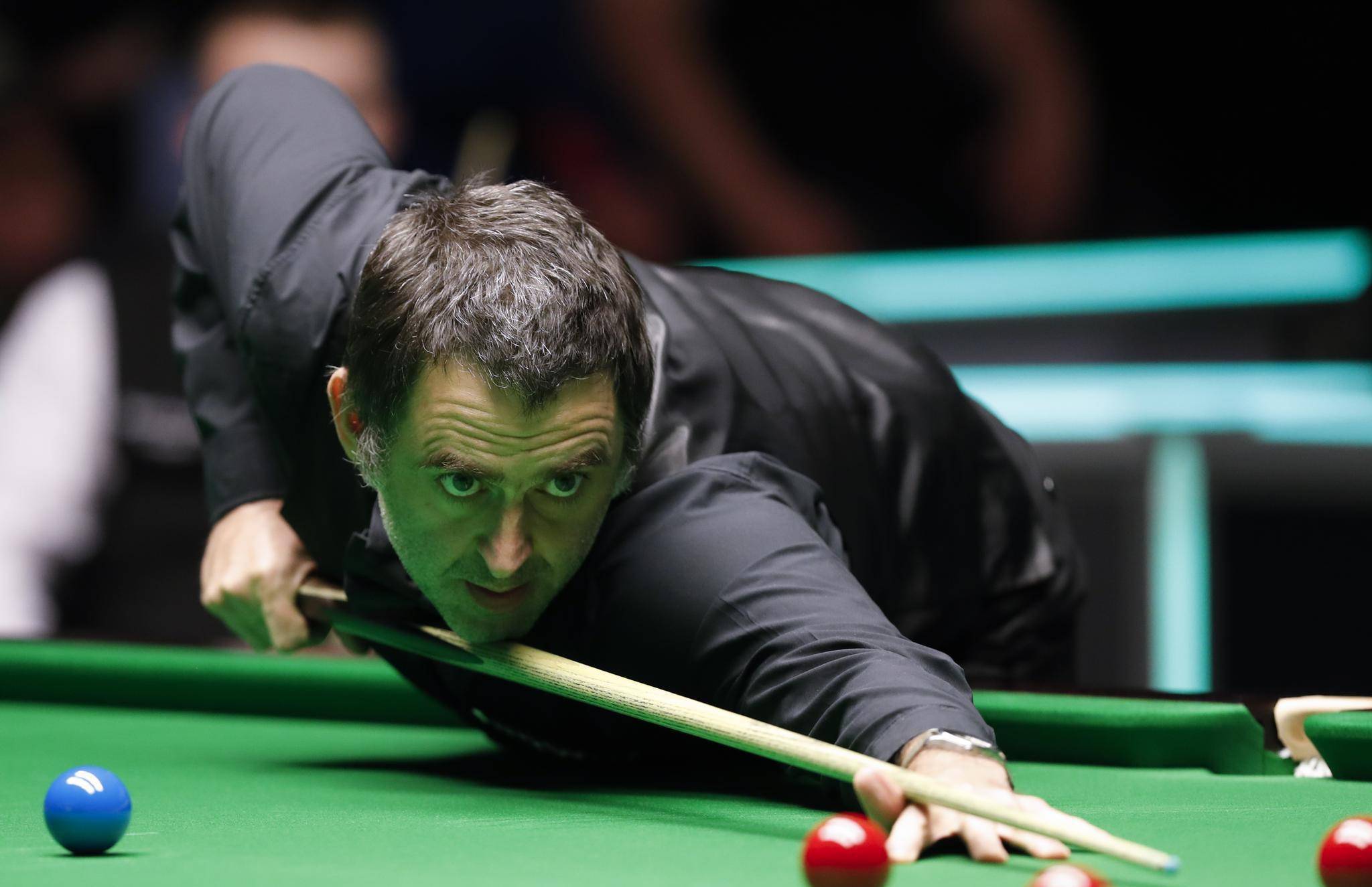 在不久的将 在不久的将